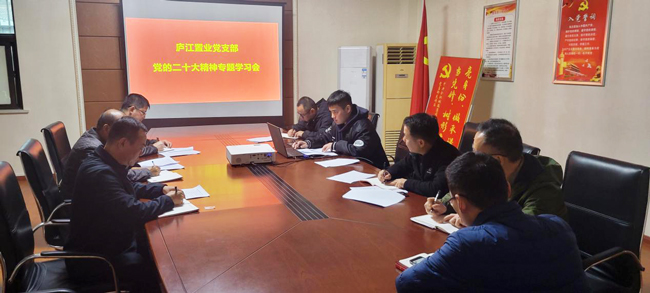 摇钱树娱乐(中国区)有限公司官网