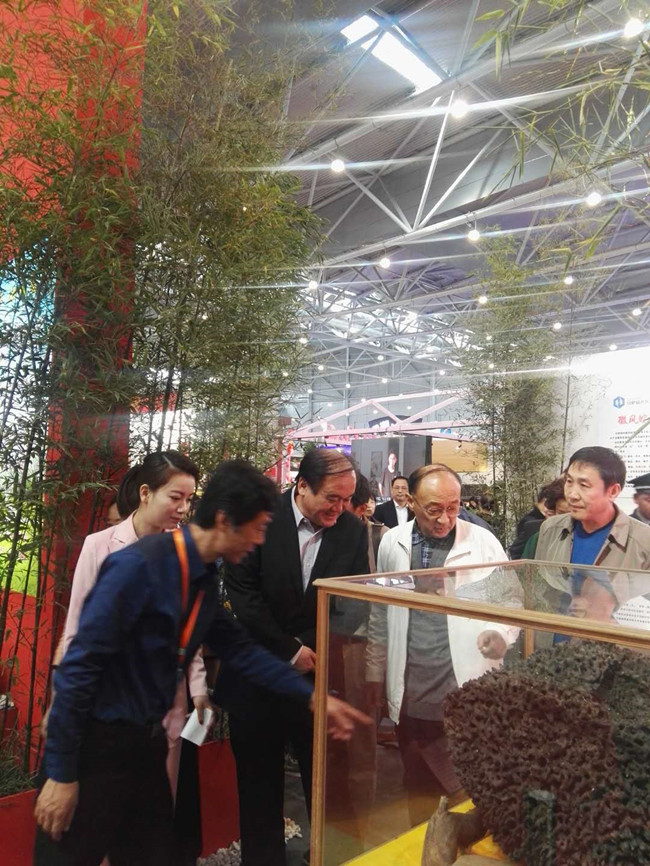 摇钱树娱乐(中国区)有限公司官网