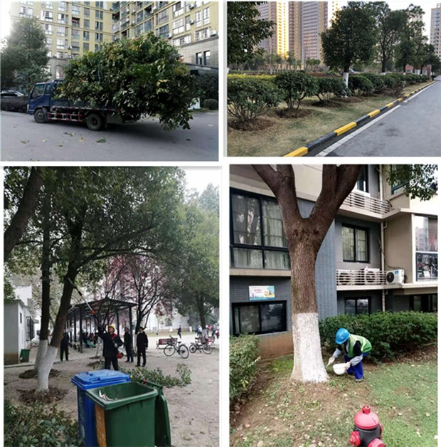 摇钱树娱乐(中国区)有限公司官网
