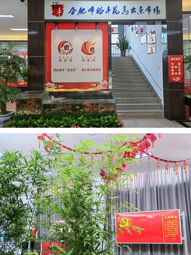 摇钱树娱乐(中国区)有限公司官网