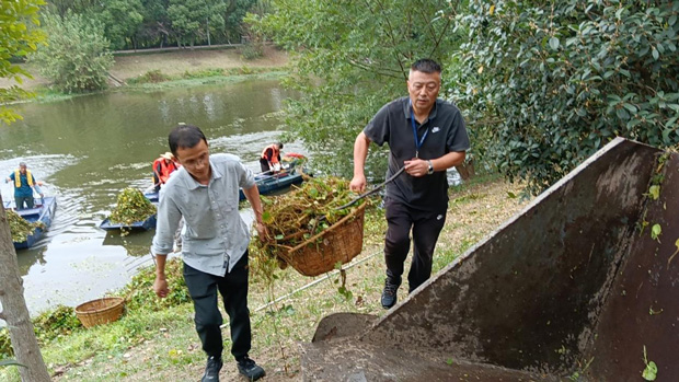 摇钱树娱乐(中国区)有限公司官网
