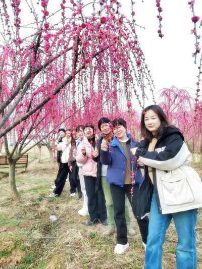 摇钱树娱乐(中国区)有限公司官网
