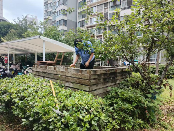 摇钱树娱乐(中国区)有限公司官网